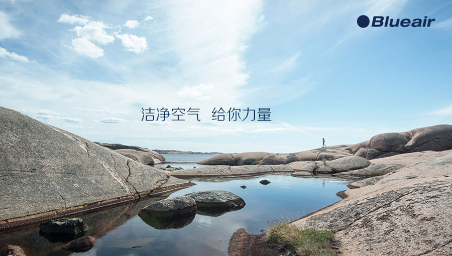 /static/active/2020315/style/blueair-1.jpg