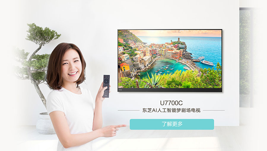 /static/active/2020315/style/toshibatv-2.jpg