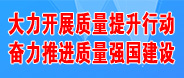 大力开展质量提升行动奋力推进质量强国建设